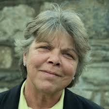 PennLive's 2024 primary voters' guide: Pa. State House Districts 151-203