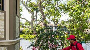 Pest control can take many forms, and for us, it's always about helping to protect your. All U Need Pest Control 6 Recommendations Fort Myers Fl