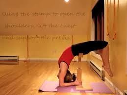 Preparation For Dropping Into Viparita Dandasana Video 2 Yoga Backbend Iyengar Yoga Arm Balance Poses