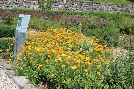 Park kulturlandschaftszentrum haus lochfeld können sie sich auch aus der vogelperspektive auf der untenstehenden karte anschauen. Auf Entdeckungstour Im Krautergarten Von Haus Lochfeld