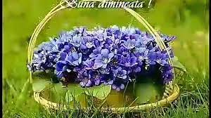 Potrivit unor surse din interiorul primăriei capitalei, a fost activat sistemul de drenaj și acesta a funcționat corespunzător. O Zi Cu Soare