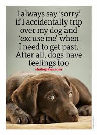 Animals Have Feelings Too Dog Friends Dogs Feelings