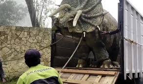 Check spelling or type a new query. Viral Video Seekor Dinosaurus Triceratops Diturunkan Dari Truk Di Magetan Beneran Atau Bohongan Ini Fakta Sebenarnya Joglosemar News