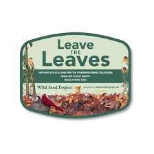 Image result for Bambekea racemosa