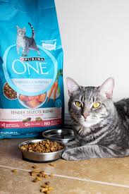 28 Days To A Happier Cat With Purina One At Walmart Purina Best Cat Food Cat Care Tips
