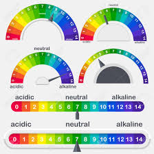 ph value scale meter for acid and alkaline solutions vector set