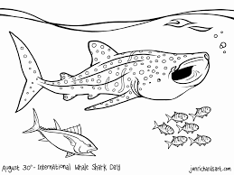 Incredible sharks coloring page to print and color for free. Megalodon Shark Coloring Pages New Great White Shark Coloring Pages Luxury Hammerhead Shark Coloring Shark Coloring Pages Whale Coloring Pages Shark Pictures