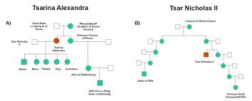Not all children of the tsars are listed. Dna Case Study