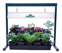 The hot house includes a dome, heat mat, seedling the hot house can easily reach 50 to 68 degrees above room temperature optimal for thriving seedlings.7.5? Hydrofarm Jump Start 2 Foot Grow Light Kit 24w Buy Online In Andorra At Andorra Desertcart Com Productid 2490111