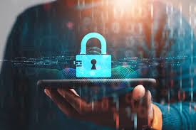 Cyber Insurance Roundup: What's Happening Now?