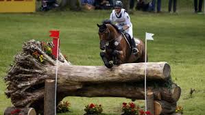 Julia krajewski took gold while team gb's oliver townend and laura collett missed out on medals. Julia Krajewskis Samourai Du Thot Bei Em Positiv Getestet Sport News Reiterrevue International