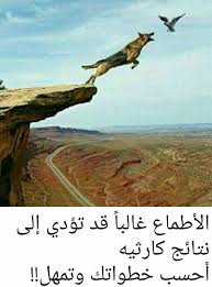 Pin By Flora Gh On هل تعلم Arabic Quotes Arabic Poetry Wisdom