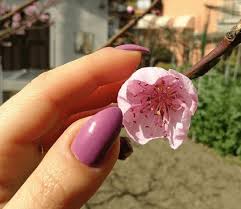 If you are trying to find some trendy new nail ideas with a pop of color and some sparkle, there are 50 beautiful spring nail ideas you can try out! Spring 2019 Nail Trends And Manicure Ideas My Unbounded Life