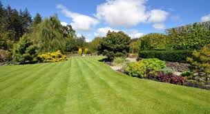 Check spelling or type a new query. Secret To A Lovely Lawn Spring Care Guide Perrywood