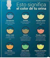 Color De La Orina Color De La Orina Salud Y Bienestar Consejos Para La Salud