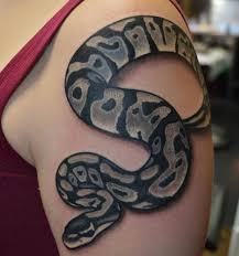 We take a look at an awesome ball python clutch hatching from our combo morph axanthic snakes. 16 Best Python Tattoo Design Ideas Petpress