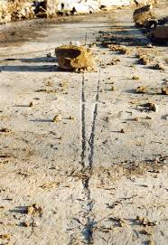 La jolla 50 oz, 60 oz, 75 oz. Translational Rock Block Slides In A Tertiary Flyschoid Complexes Of Southern Piedmont Region North West Italy Intechopen