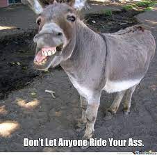 35 Most Funniest Donkey Meme Pictures And Photos