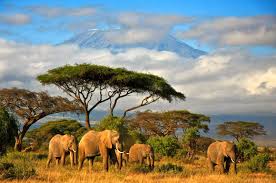 Tanzania has some of the best cultural tour experience, wildlife viewing and safari experiences in all of africa. Export Gov Welcome To Us Commercial Service Tanzania