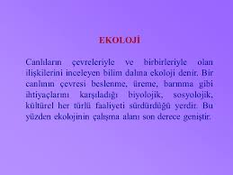 Ekoloji Canlilarin Cevreleriyle Ve Birbirleriyle Olan Iliskilerini Inceleyen Bilim Dalina Ekoloji Denir Bir Canlinin Cevresi Beslenme Ureme Barinma Ppt Video Online Indir