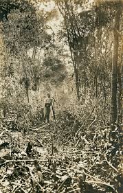 Résultat de recherche d'images pour "the lost city of z"