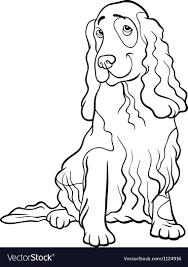Black And White Springer Spaniel Cartoon Cocker Spaniel Dog Cartoon For Coloring Book Vector Image On Vectorstock Black And White Cartoon Cartoon Dog Spaniel Art