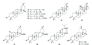 Image result for Ekebergia benguelensis