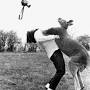 Profile Picture of Photographer John Drysdale was punched in the face by a kangaroo ...on Google