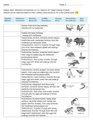 Copies, features, properties, p_roperties, add property, property name. Sains T2 Bab 1 1 2 Haiwan Versi English Worksheet
