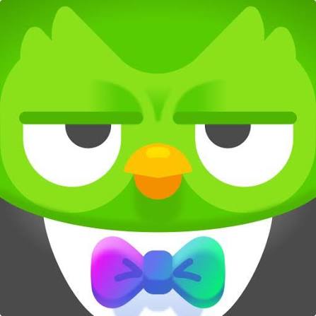 Official Duolingo Owl Logo