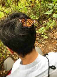 Pin En Naturaleza En Mexico
