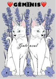Gato Azul On Twitter Gemini Art Gemini Spirit Animal Gemini Wallpaper