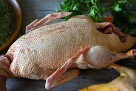 Skip the soap and swish the bird! How To Pluck A Goose Cackle Hatchery