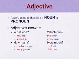 As you know, a noun is a person, place or thing, and an adjective is a. Adjectives Adjective A Word Used To Describe A Noun Or Pronoun Adjectives Answer What Kind Which One New Carthis Swan Striped Tie Every Page How Many How Ppt Download