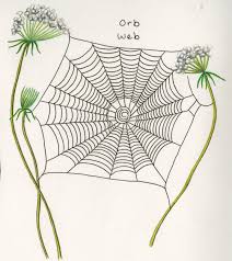 How To Recognize Spiders By Their Webs Bay Nature Magazine