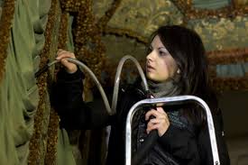 Silverfish and webbing clothes moths top bug pests for National Trust  properties