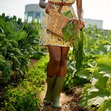 So, feel like starting an allotment but not really sure how? Allotment Ideas For Beginners Tips For Grow Your Own Newbies