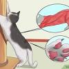 Giving your cat something that they can scratch may prevent them from scratching things they shouldn't scratch. 1