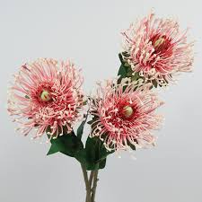 Browse a large selection of tropical silk flowers and fake flowers on houzz, including a variety of artificial orchids, silk roses and silk flower arrangements. Outdoor Gardening Faux King Protea Tropical Leaf Artificial Plant Wedding Home Decor Artificial Protea 1pc Red Small Real Touch King Protea King Protea Home Living