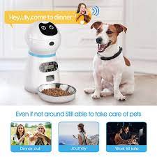 Cute Robot Shape Automatic For Cat Feeder With 10s Voice Recorder Keeping  Food F | Fruugo AE