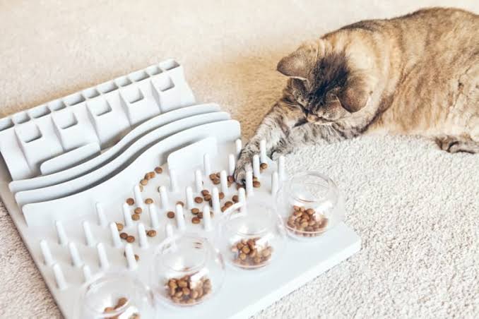 Puzzle Feeder