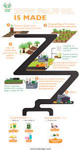 Montage of photos from palm oil estates. How Is Palm Oil Made