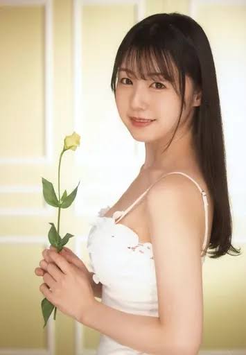 蕾
