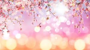 It began serialization in ribon magazine on december 1, 2008 and has been compiled into 12 volumes by publisher shueisha. Cherry Blossom Tree Images Free Vectors Stock Photos Psd