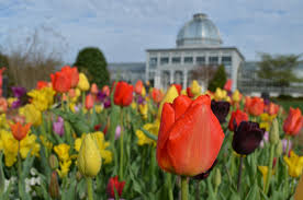 There are few things better than bright flowers in the spring to reassure you that winter has passed and warmer days are here. April Blooms