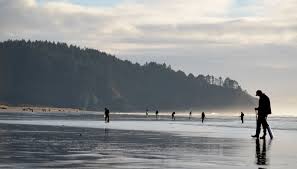 Razor Clamming Visit Long Beach Peninsula Beach Downtown Long Beach Long Beach