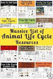 Kids Will Love Learning About The Life Cycles Of Different Animals With This Massive List Of Animal Life Cycle R Animal Life Cycles Life Cycles List Of Animals