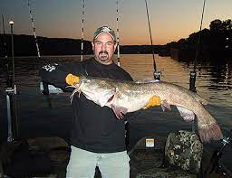 Understanding Catfish Spawning