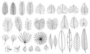 Free Free 227 Tropical Flower Leaves Svg SVG PNG EPS DXF File