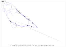 In this video i'm gonna show you how to draw a beautiful scarlet macaw with colour pencils. Learn How To Draw A Scarlet Macaw Parrots Step By Step Drawing Tutorials